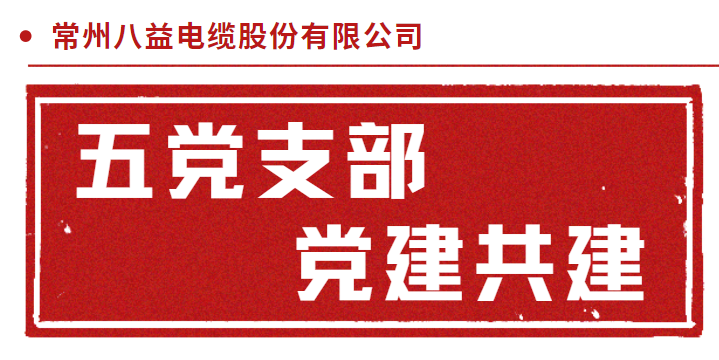 三門核電倒送電耐火電纜 五黨支部黨建共建！